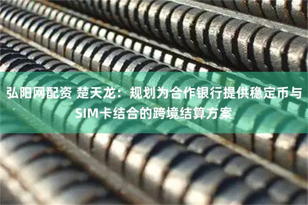 弘阳网配资 楚天龙：规划为合作银行提供稳定币与SIM卡结合的跨境结算方案