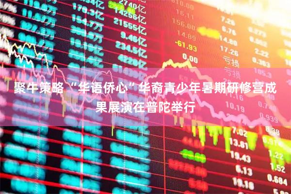 聚牛策略 “华语侨心”华裔青少年暑期研修营成果展演在普陀举行