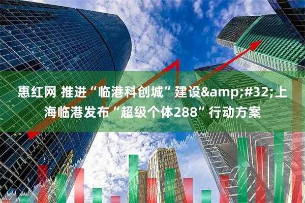 惠红网 推进“临港科创城”建设&#32;上海临港发布“超级个体288”行动方案
