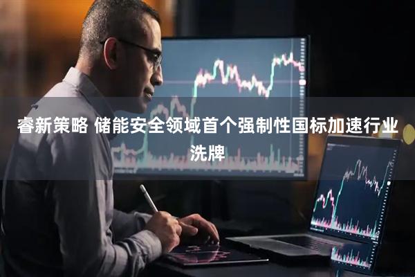 睿新策略 储能安全领域首个强制性国标加速行业洗牌