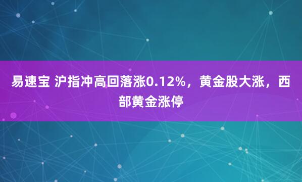 易速宝 沪指冲高回落涨0.12%，黄金股大涨，西部黄金涨停
